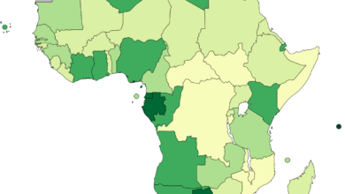 Ranking of the richest African countries based on per capita income 2022