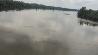 List of rivers in Cameroon