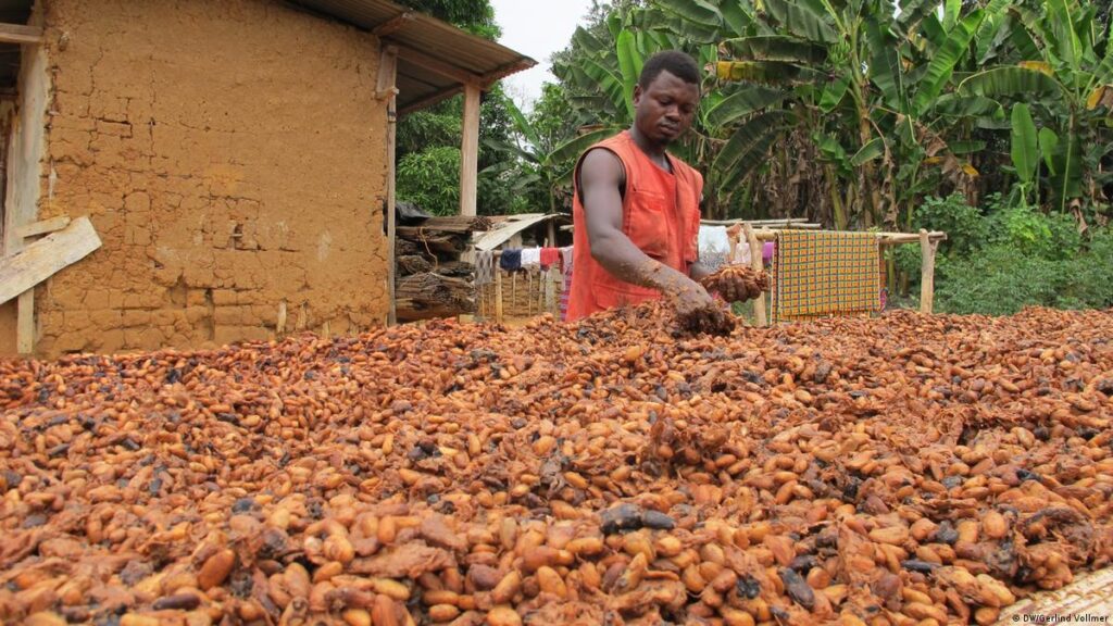 2. Ghana: A Rich Heritage in Cocoa