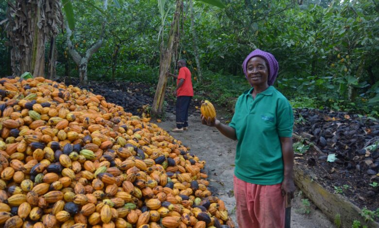 Top 10 african countries with intense cocao production
