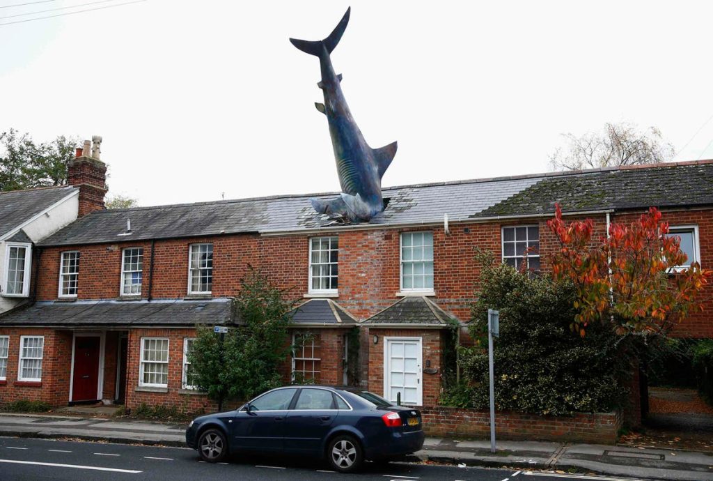 The Shark, Oxford, UK