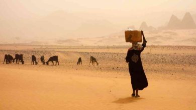 Climate Change and Conflict Could Displace 113 Million Africans by 2050