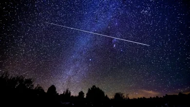 Meteor Shower Tonight: A Celestial Double Feature Lights Up July 30 Sky
